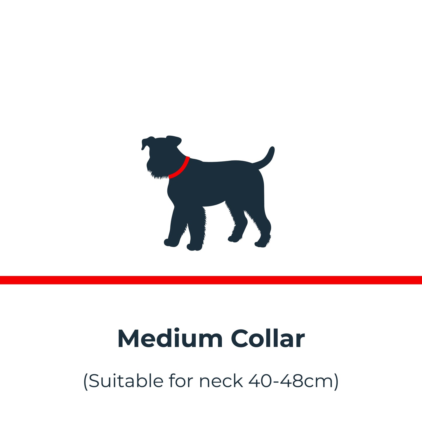 🎁 Antinol<sup>®</sup> Light-up Collar (100% off)
