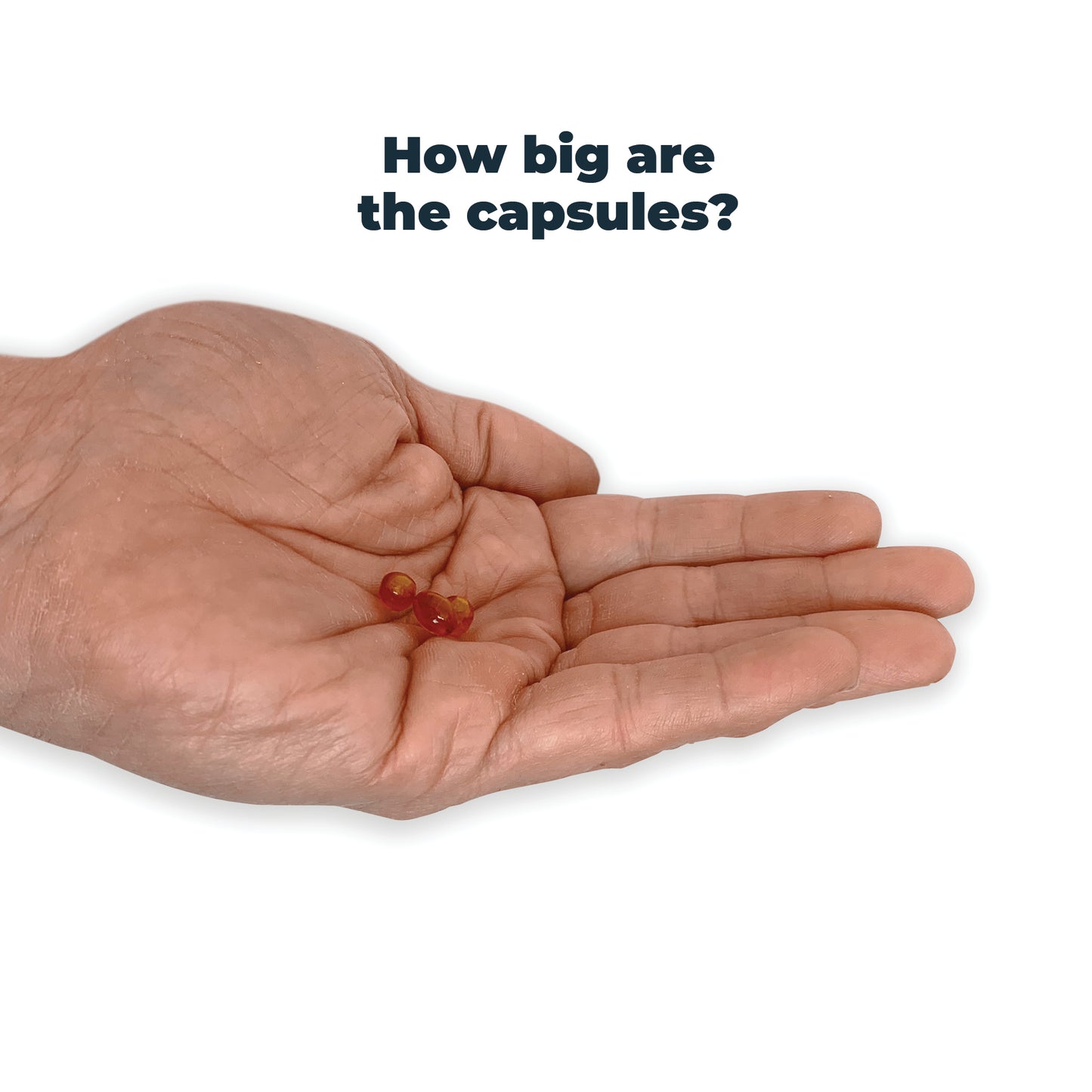 Antinol<sup>®</sup>️ Plus for Cats