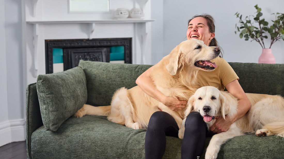 "He’s My Everything" – How Sarah Helped Her 12-Year-Old Golden Retriever Stay Happy, Healthy, and Pain-Free