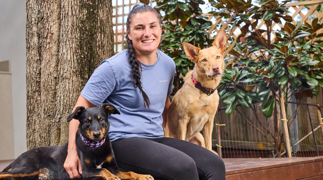 From Rescue to Racing: Bentley’s Journey Back to the Sport She Loves