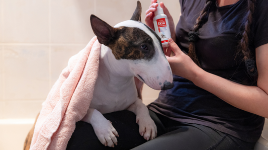 5 Everyday Moments to Use Antinol<sup>®</sup> Skin Topical Spray