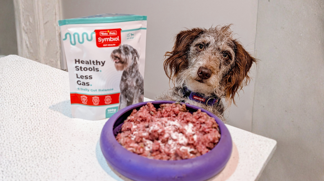 From Weekly Digestive Upsets to Happier Gut Days: Lumi's Story