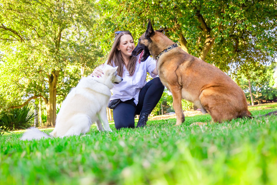 Should I Give My Dog Probiotics? Benefits, Gut Health & How To Choose Probiotics For Your Dog- Symbiol™