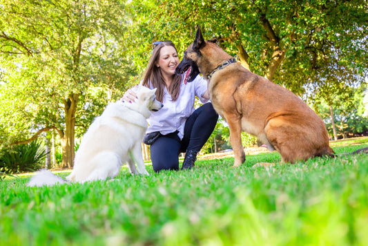 Should I Give My Dog Probiotics? Benefits, Gut Health & How To Choose Probiotics For Your Dog- Symbiol™
