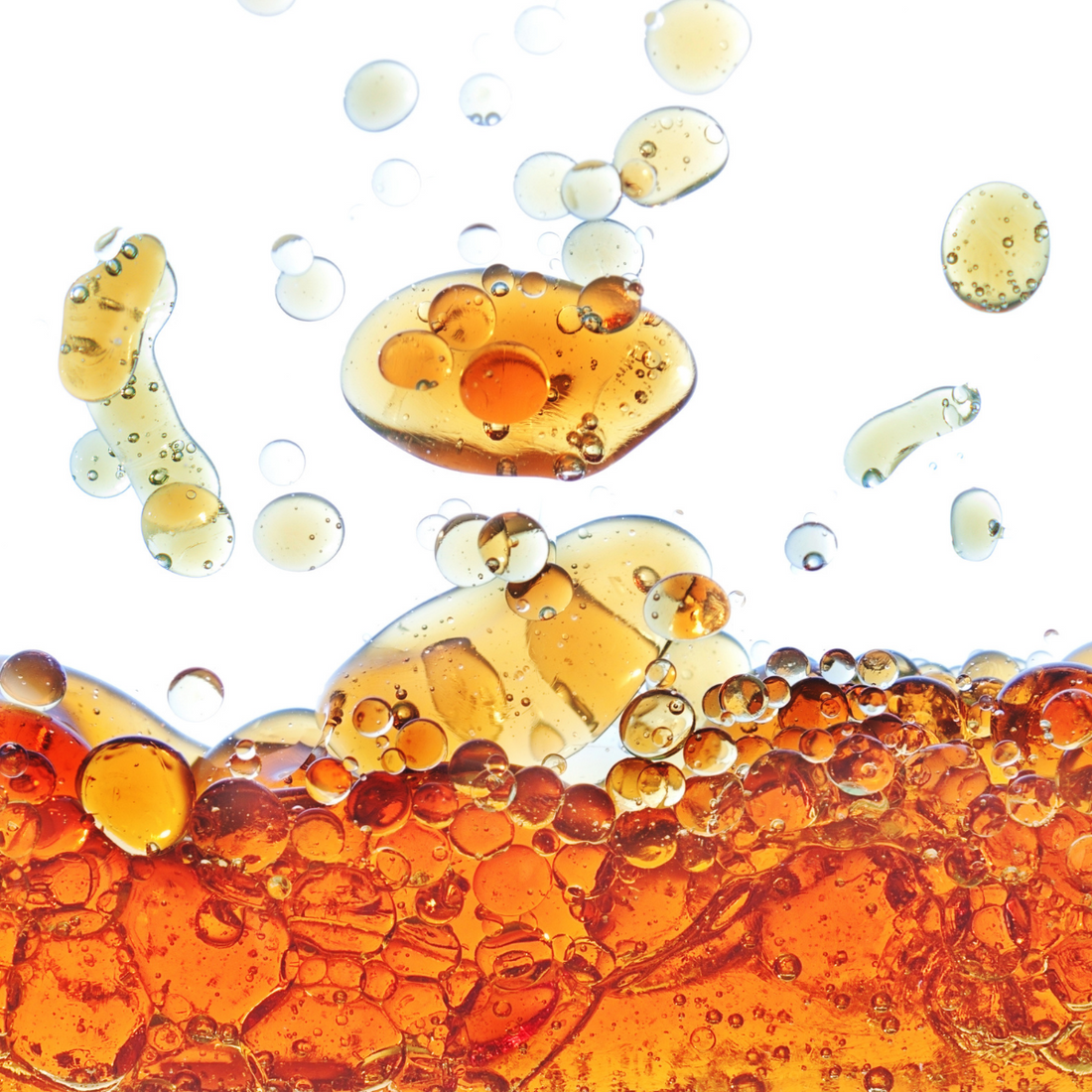 dog fish oil capsules