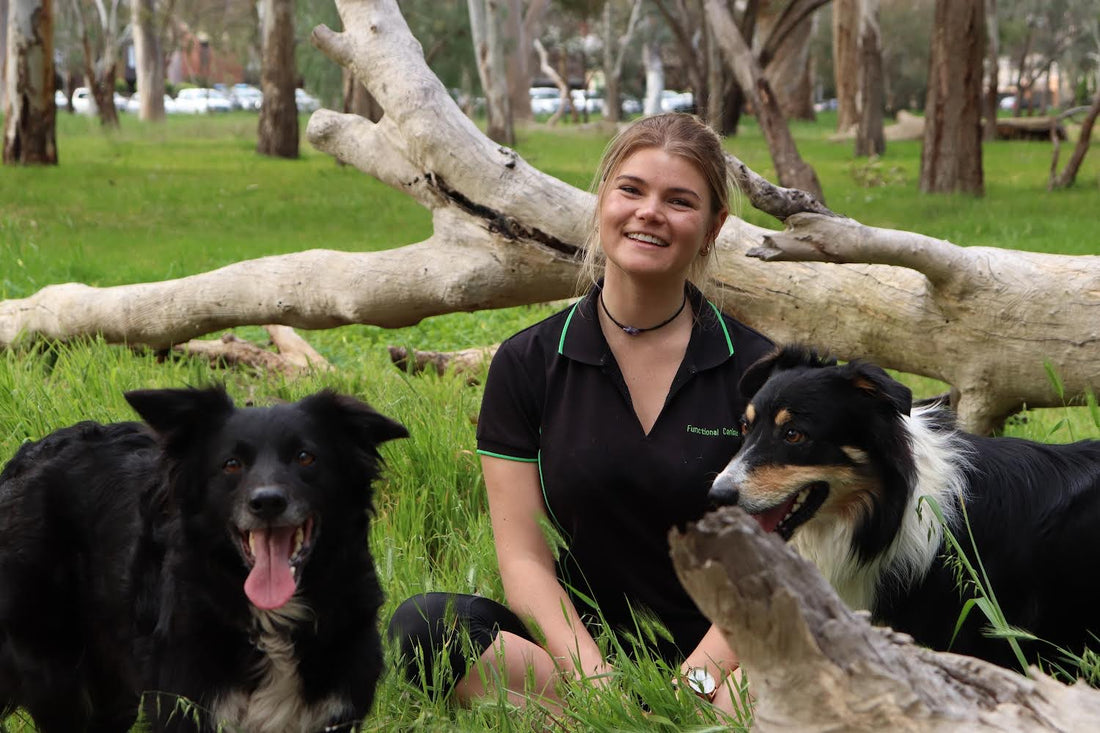 functional canine woman and dogs
