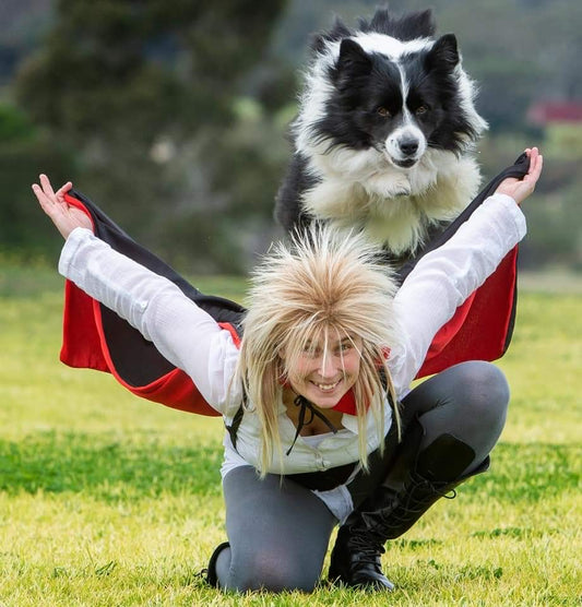 dog jumping in air from back