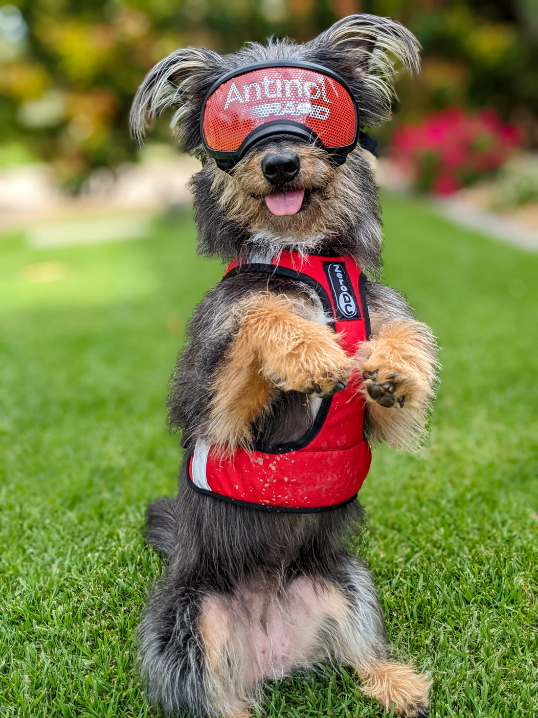 inbound4387567442728609806 Jessica Nicholls