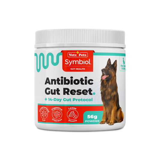 Symbiol™ 14-Day Gut Protocol