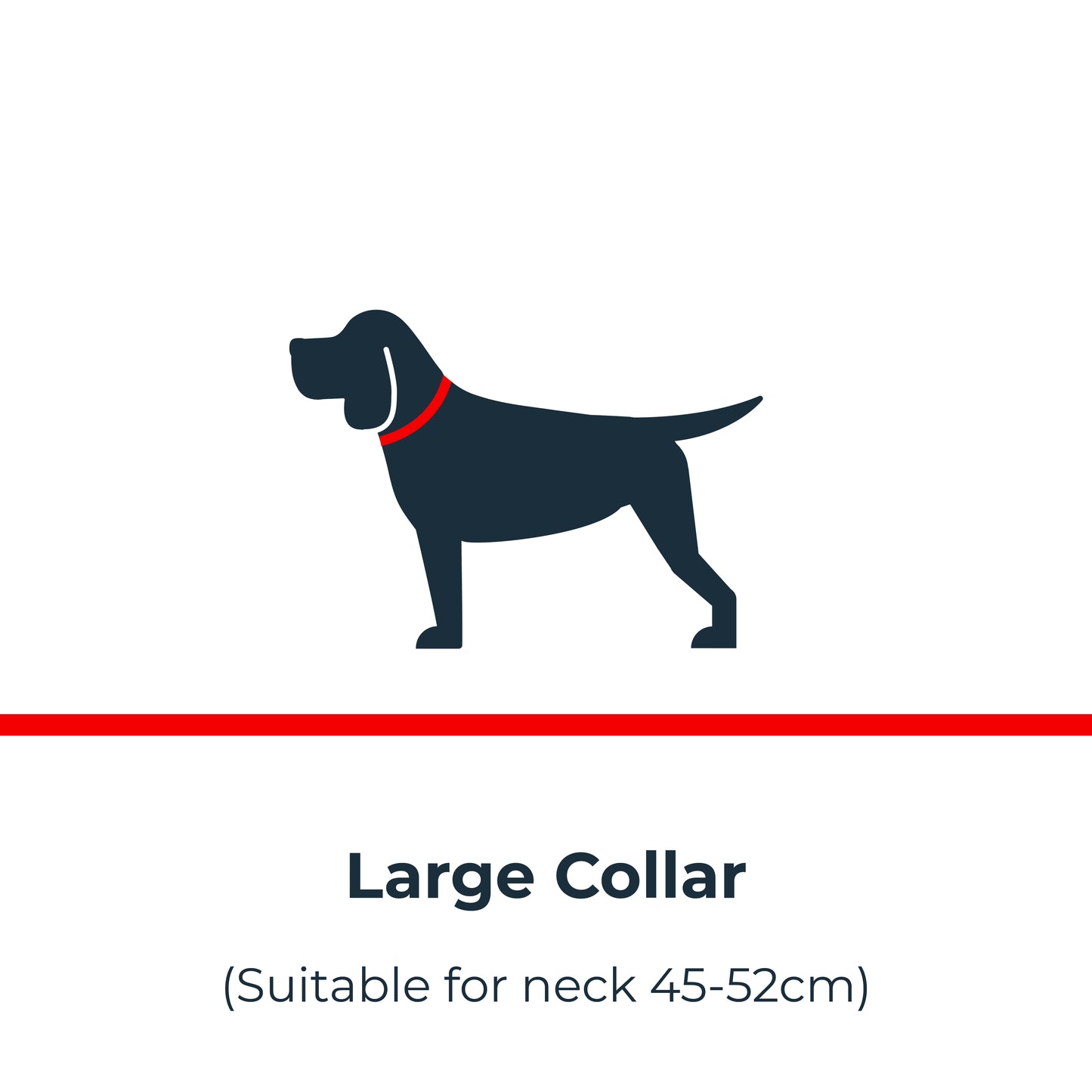 Antinol<sup>®</sup> Light-up Collar