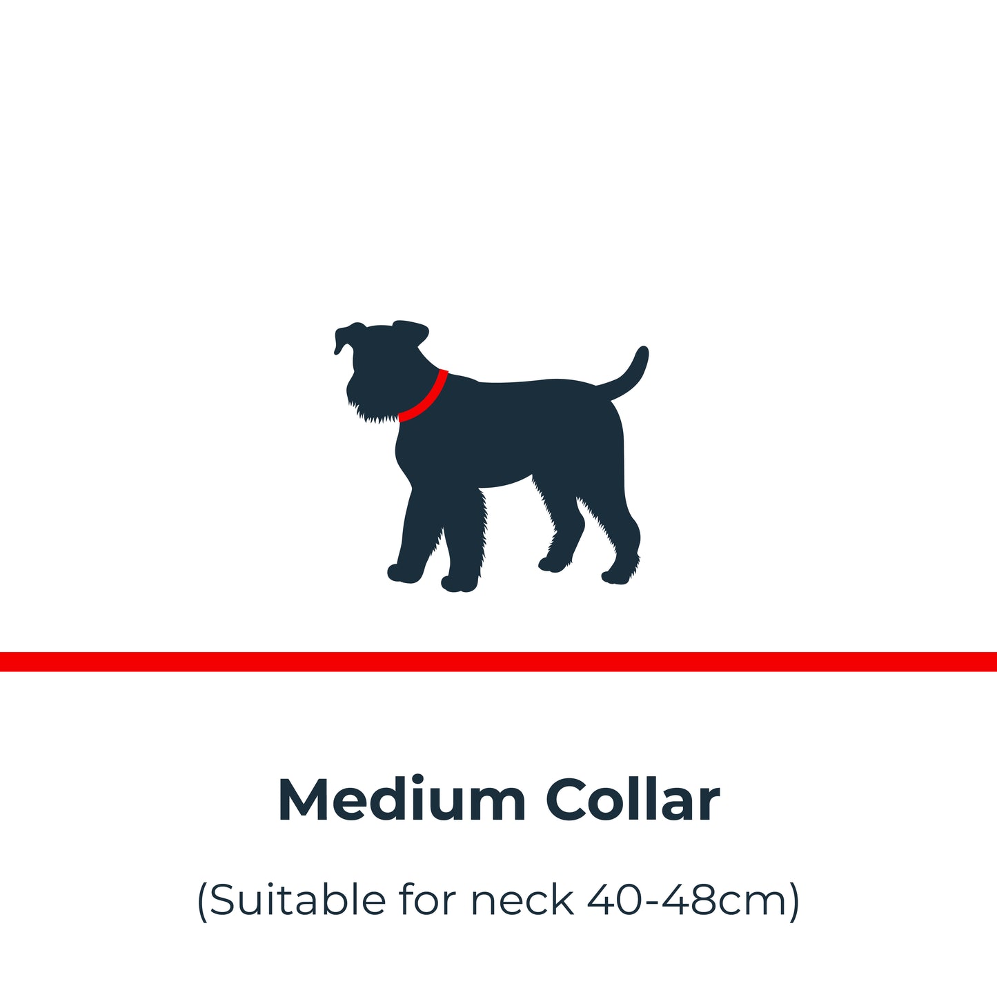 Antinol<sup>®</sup> Light-up Collar