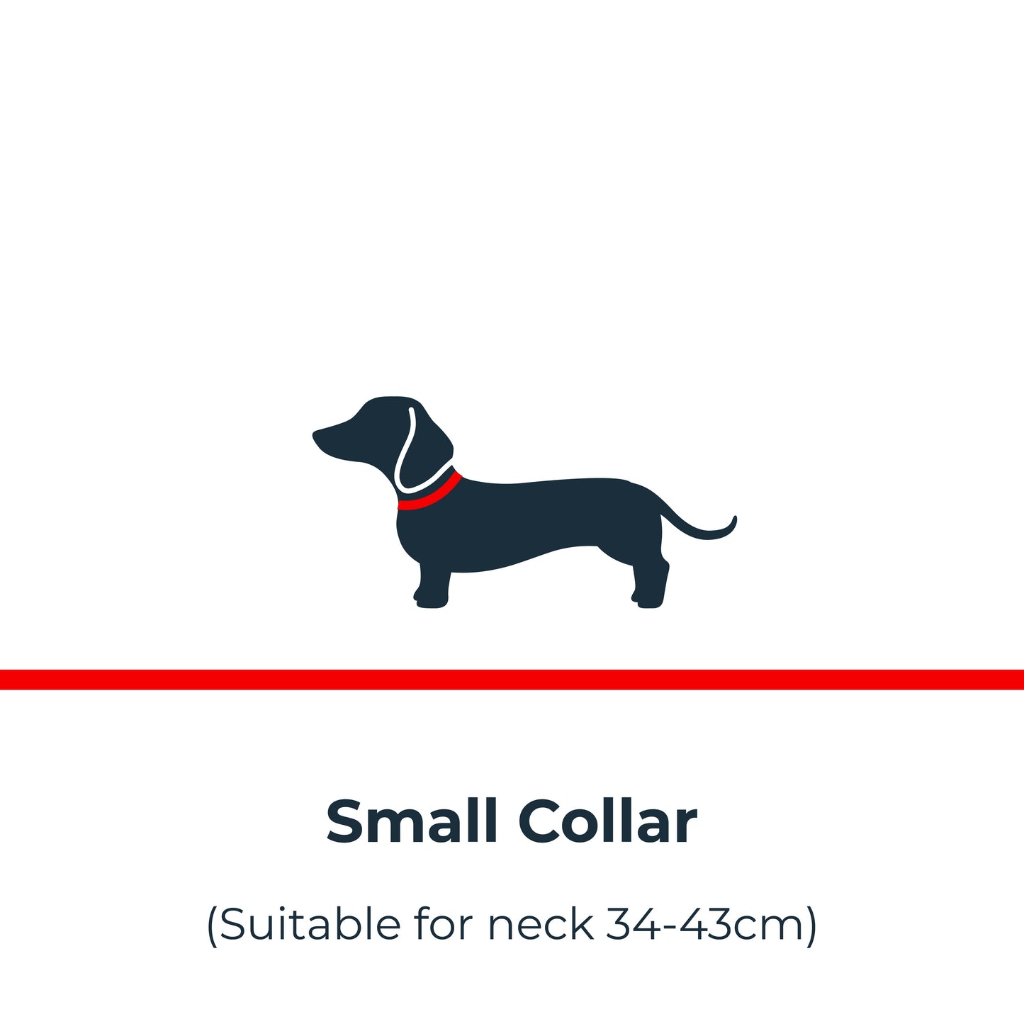 🎁 Antinol<sup>®</sup> Light-up Collar (100% off)