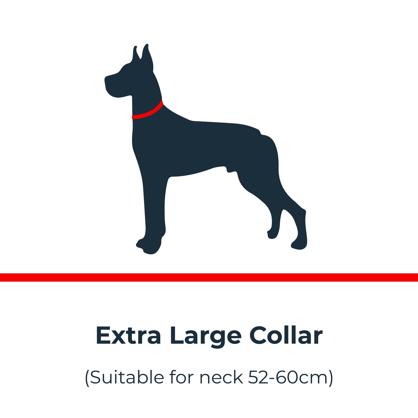 🎁 Antinol<sup>®</sup> Light-up Collar (100% off)