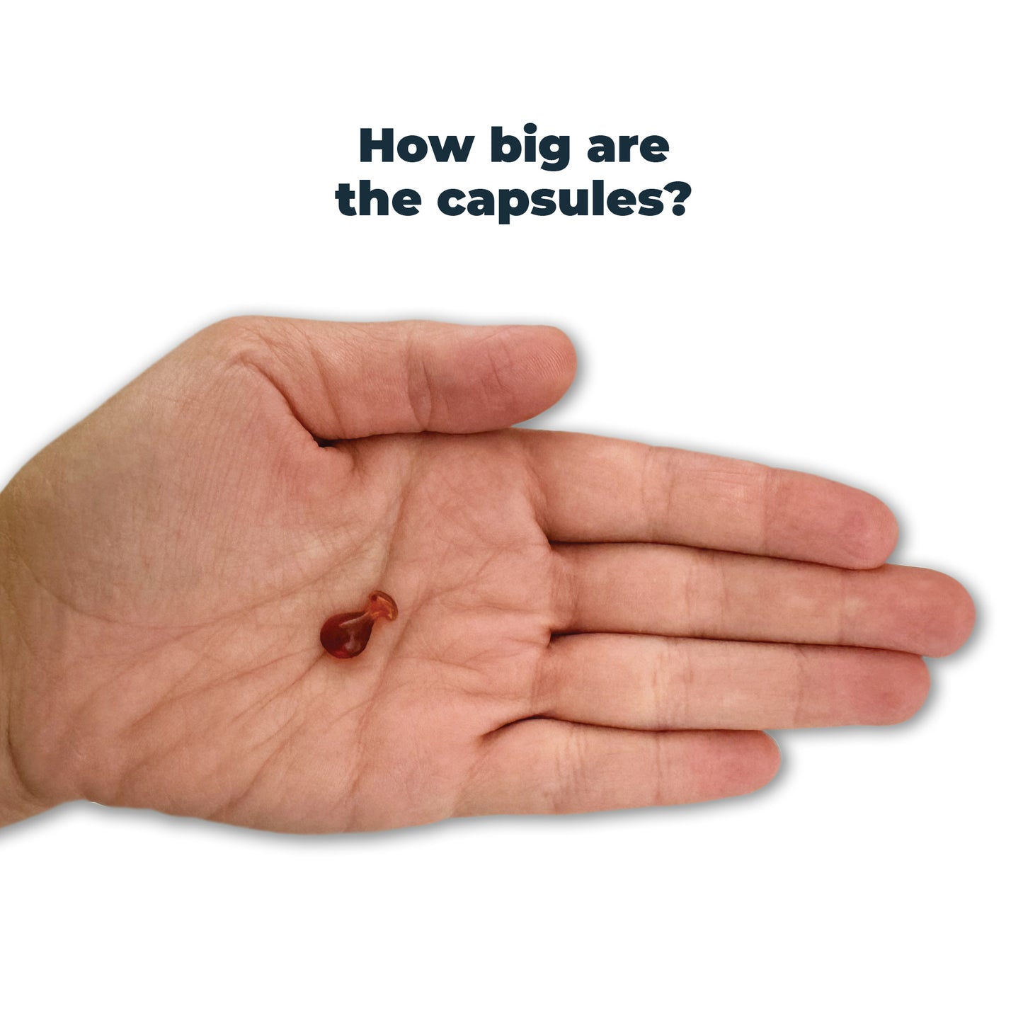 Antinol<sup>®</sup> Plus for Dogs - Easy-Feed Capsules