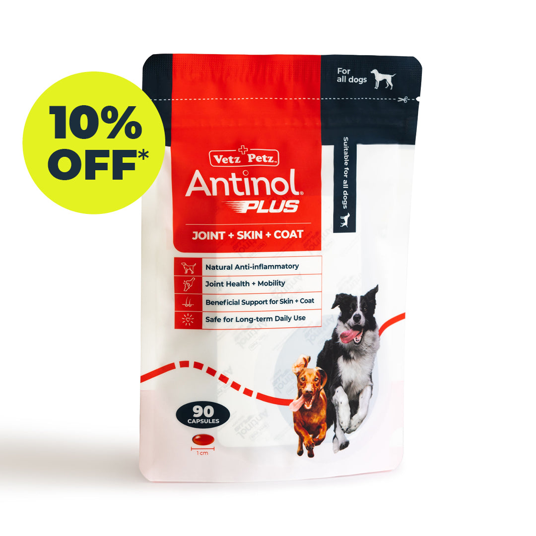 Antinol<sup>®</sup>️ Plus for Dogs - 10% off Subscription