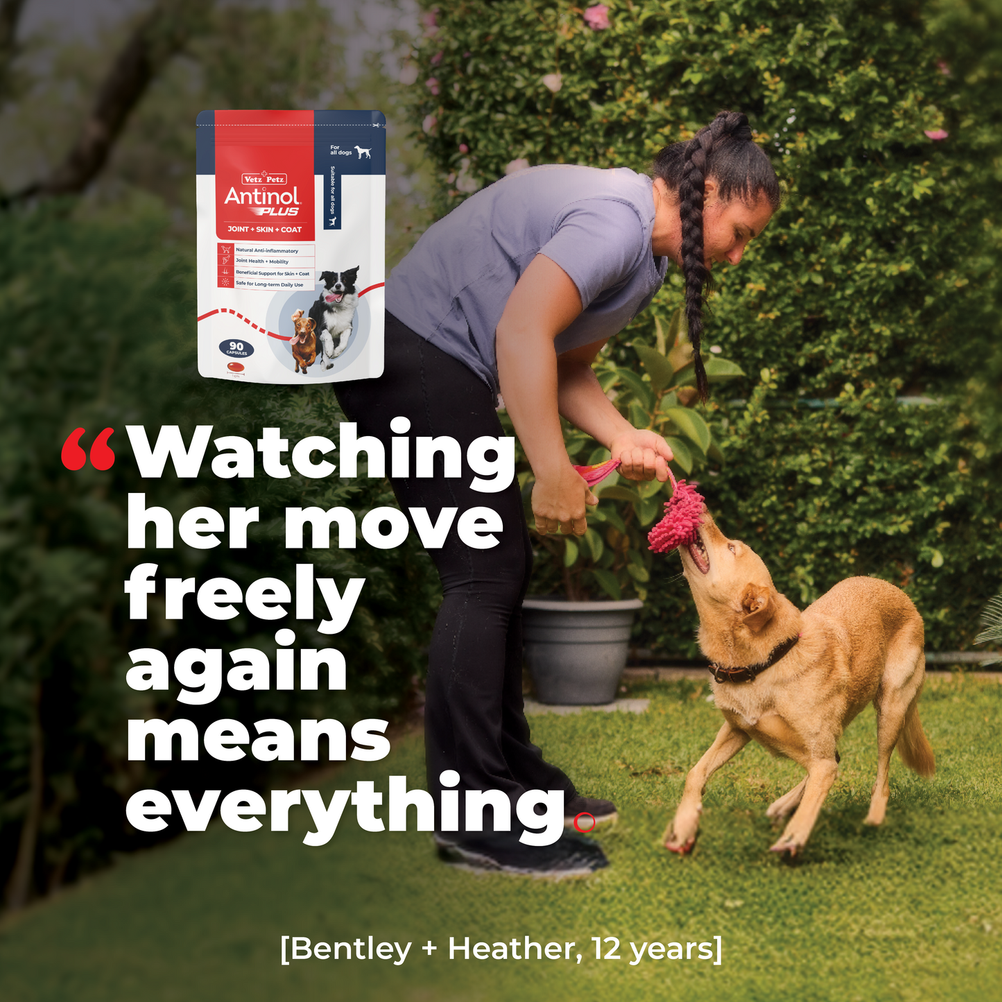 Antinol<sup>®</sup> Plus for Dogs