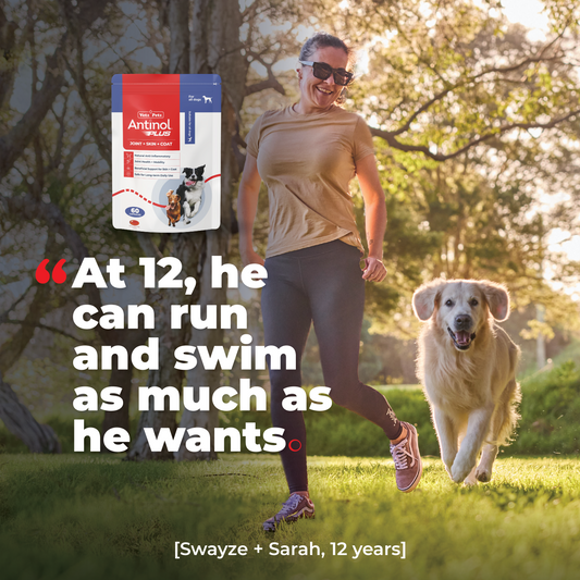Antinol<sup>®</sup> Plus for Dogs