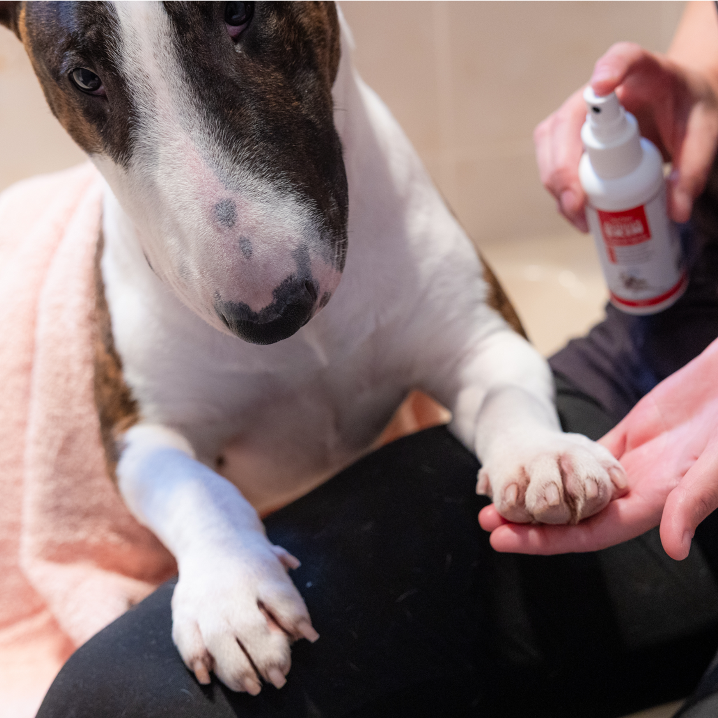 Antinol<sup>®</sup> Skin Topical Spray