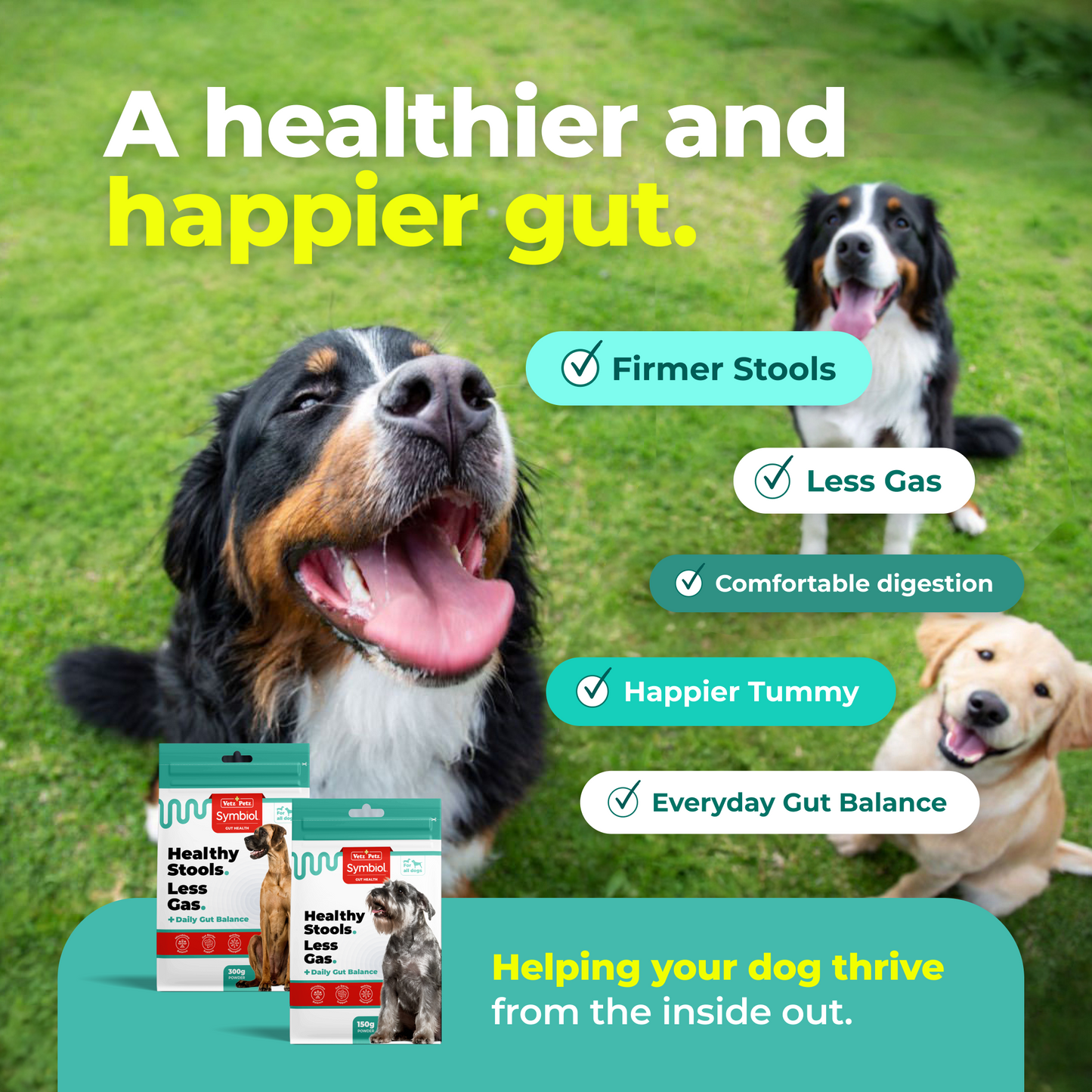 Symbiol™ Daily Gut Balance - Brand Partners