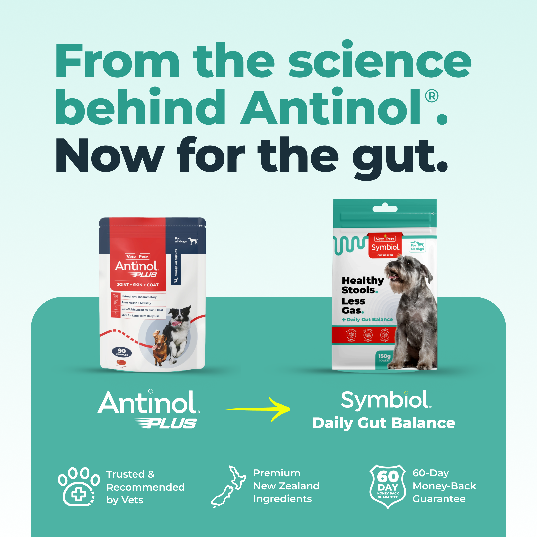 From the science behind Antinol. Now for the gut. Symbiol Daily Gut Balance