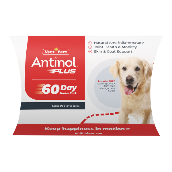 Antinol Plus 60-day starter pack for large dogs