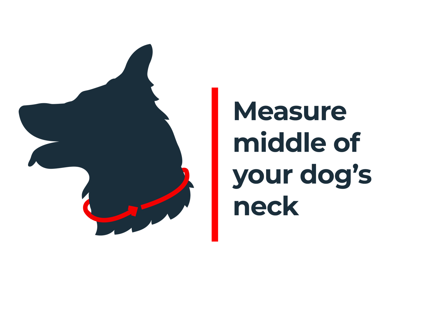 Antinol<sup>®</sup> Light-up Collar