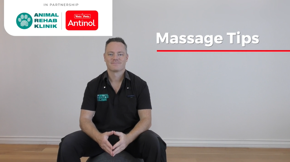 Load video: Massage Tips