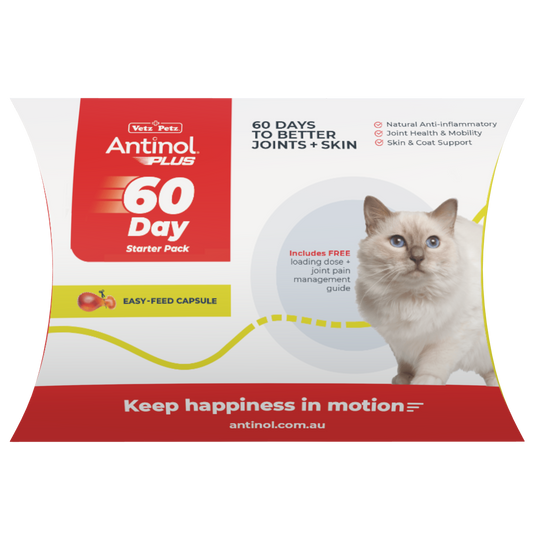 Antinol 60-day Starter Pack – Cat - Easy-Feed Capsules