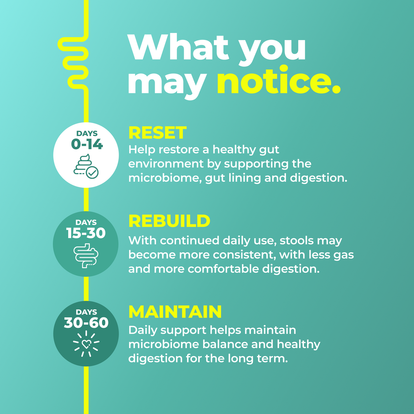 Symbiol™ Daily Gut Balance
